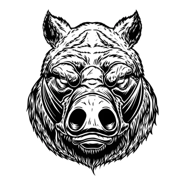 고전적 스타일의 야생화 멧돼지의 머리를 엠블럼 포스터 깃발을 디자인 일러스트 — 스톡 벡터