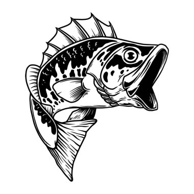 Levrek balığı tasviri. Büyük levrek. Balık tutmak. Logo, amblem, işaret, poster, kart, pankart için tasarım elemanı. Vektör illüstrasyonu