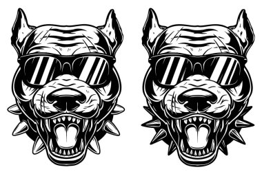 Güneş gözlüklü kızgın pitbull 'un klasik monokrom tarzı resimlerini. Logo, amblem, işaret, poster, kart, pankart için tasarım elemanı. Vektör illüstrasyonu