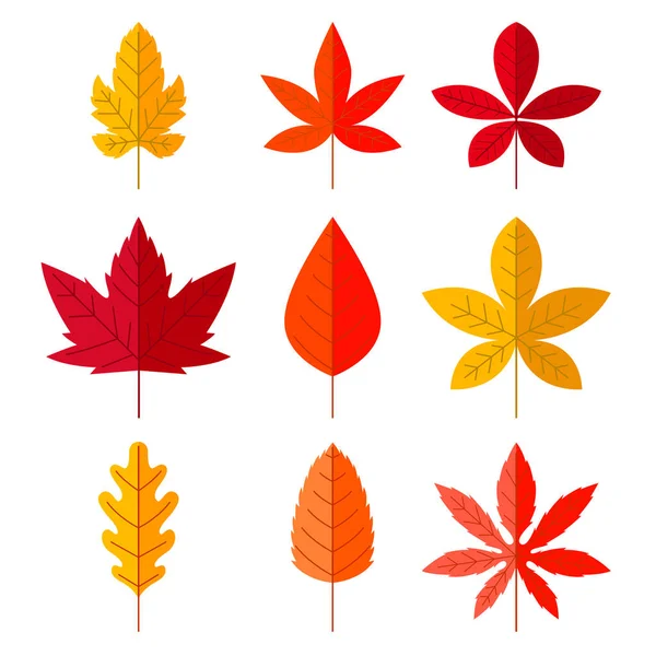 Set Autumn Leaves Flat Style Design Element Poster Card Banner — Stock Vector