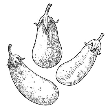 İşleme tarzında bir patlıcan seti. Poster, kart, pankart, menü için tasarım ögesi. Vektör illüstrasyonu