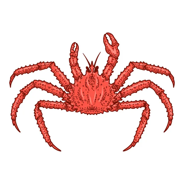 Illustration Der Krabbe Stich Stil Gestaltungselement Für Logo Emblem Schild — Stockvektor