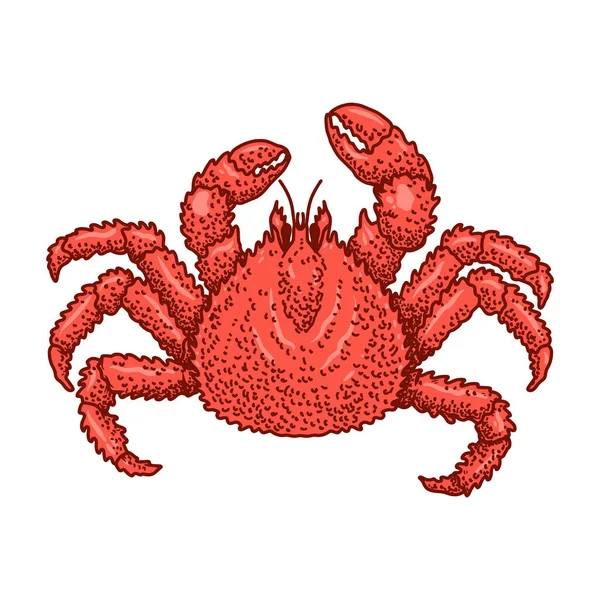 Illustration Crabe Style Gravure Élément Design Pour Logo Emblème Signe — Image vectorielle