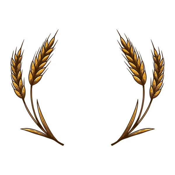 Ілюстрація Вінка Пшениці Гравюрному Стилі Конструктивний Елемент Герба Знака Плаката — стоковий вектор