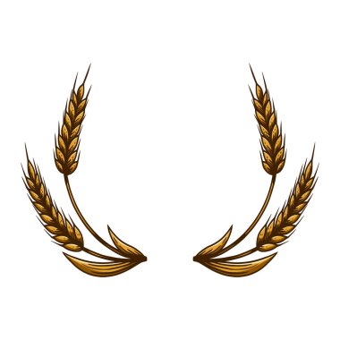 İşleme tarzında buğday kabartması. Poster, kart, pankart, imza için tasarım elemanı. Vektör illüstrasyonu