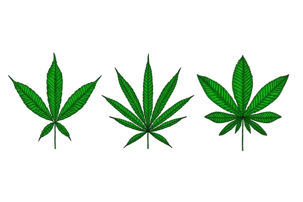 Set Illustrations Marijuana Leaf Engraving Style Design Element Poster Card — Stock Vector