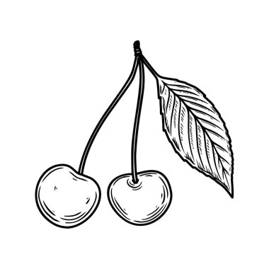 İşleme tarzında kiraz meyvesi tasviri. Poster, kart, pankart, imza için tasarım elemanı. Vektör illüstrasyonu