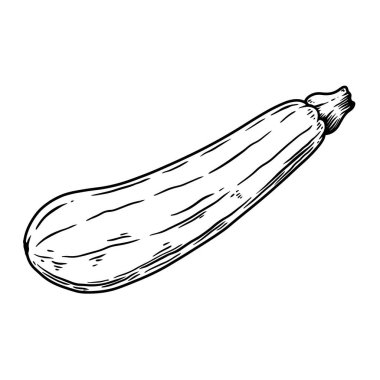 Kabağın oyma tarzındaki yansıması. Poster, kart, pankart, imza için tasarım elemanı. Vektör illüstrasyonu