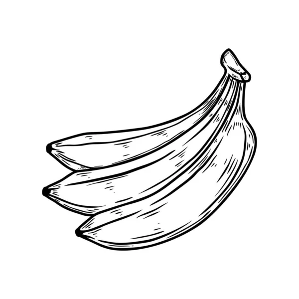 Ilustracja Banana Stylu Grawerowania Element Projektowy Plakatu Karty Banera Podpisu — Wektor stockowy