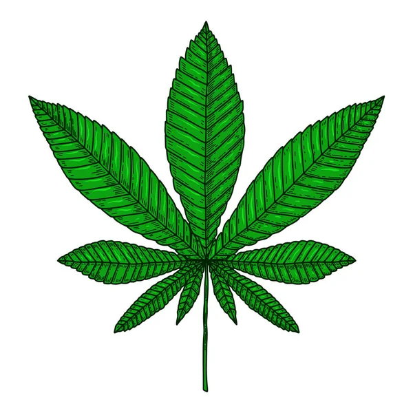 Marihuana Yaprağının Kabartma Tarzında Tasviri Poster Kart Pankart Imza Için — Stok Vektör