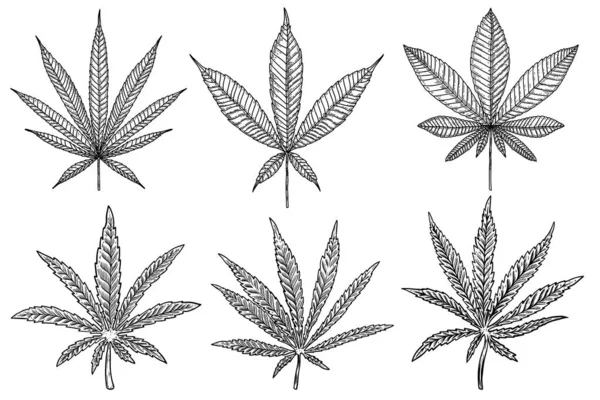 一套雕刻风格的大麻叶图解 标志的设计元素 矢量说明 — 图库矢量图片