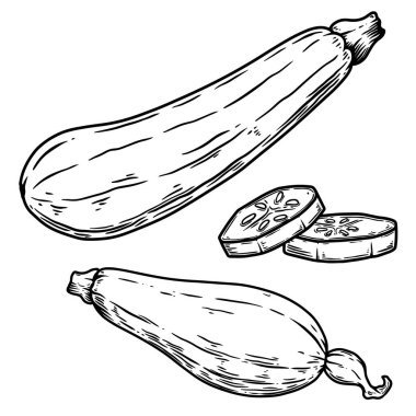 Kabağın oyma tarzındaki yansıması. Poster, kart, pankart, imza için tasarım elemanı. Vektör illüstrasyonu