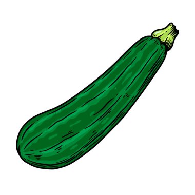 Kabağın oyma tarzındaki yansıması. Poster, kart, pankart, imza için tasarım elemanı. Vektör illüstrasyonu