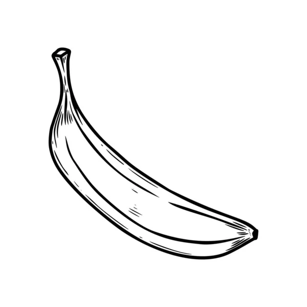 Εικονογράφηση Της Μπανάνας Στυλ Χαρακτικής Στοιχείο Σχεδιασμού Για Αφίσα Κάρτα — Διανυσματικό Αρχείο
