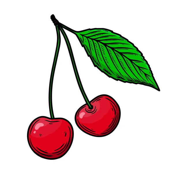 Illustration Cherry Fruit Engraving Style Design Element Poster Card Banner — Stock Vector