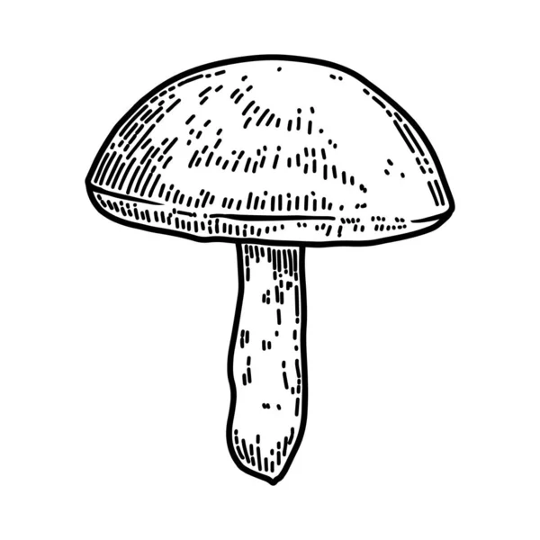Illustration Mushroom Engraving Style Design Element Poster Card Banner Sign — Stock Vector