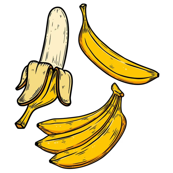Σύνολο Εικονογραφήσεων Μπανάνας Στυλ Χαρακτικής Στοιχείο Σχεδιασμού Για Αφίσα Κάρτα — Διανυσματικό Αρχείο