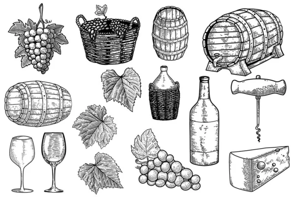 Şaraphane Tasarım Elementleri Poster Kart Pankart Imza Için Tasarım Elemanı — Stok Vektör