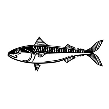 Uskumru tasviri. Logo, etiket, işaret, amblem, poster tasarımı. Vektör illüstrasyonu