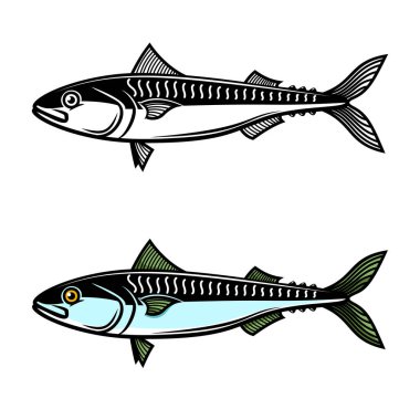 Uskumru tasviri. Logo, etiket, işaret, amblem, poster tasarımı. Vektör illüstrasyonu