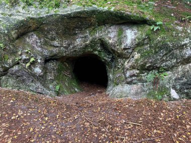 Vahşi ormandaki mağara.