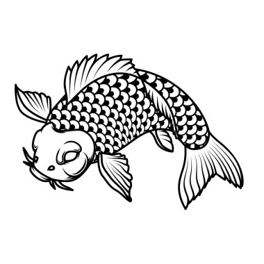Sazan balığının resmi. Poster, kart, pankart, menü için tasarım ögesi. Vektör illüstrasyonu