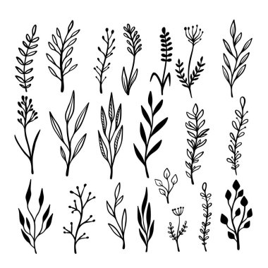 El çizimi çiçek dalları ve serpilmeler. Çiçek metin ayırıcıları. Tebrik kartı, tişört ve poster için tasarım elemanı. Vektör illüstrasyonu