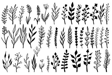 El çizimi çiçek dalları ve serpilmeler. Çiçek metin ayırıcıları. Tebrik kartı, tişört ve poster için tasarım elemanı. Vektör illüstrasyonu