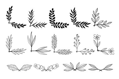 Çiçek desenli el çizimleri. Çiçek metin ayırıcıları. Tebrik kartı, tişört ve poster için tasarım elemanı. Vektör illüstrasyonu