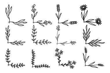 Çiçek desenli el çizimleri. Çiçek metin ayırıcıları. Tebrik kartı, tişört ve poster için tasarım elemanı. Vektör illüstrasyonu