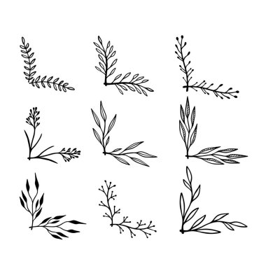 Çiçek desenli el çizimleri. Çiçek metin ayırıcıları. Tebrik kartı, tişört ve poster için tasarım elemanı. Vektör illüstrasyonu