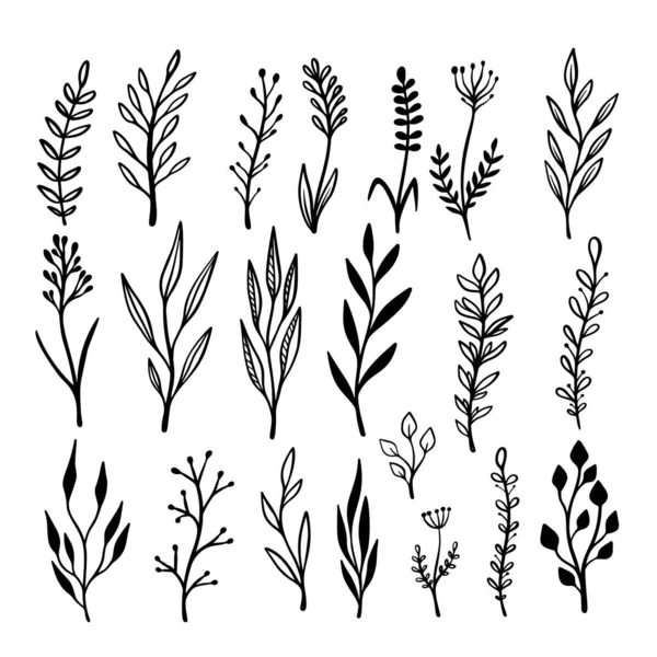 El çizimi çiçek dalları ve serpilmeler. Çiçek metin ayırıcıları. Tebrik kartı, tişört ve poster için tasarım elemanı. Vektör illüstrasyonu