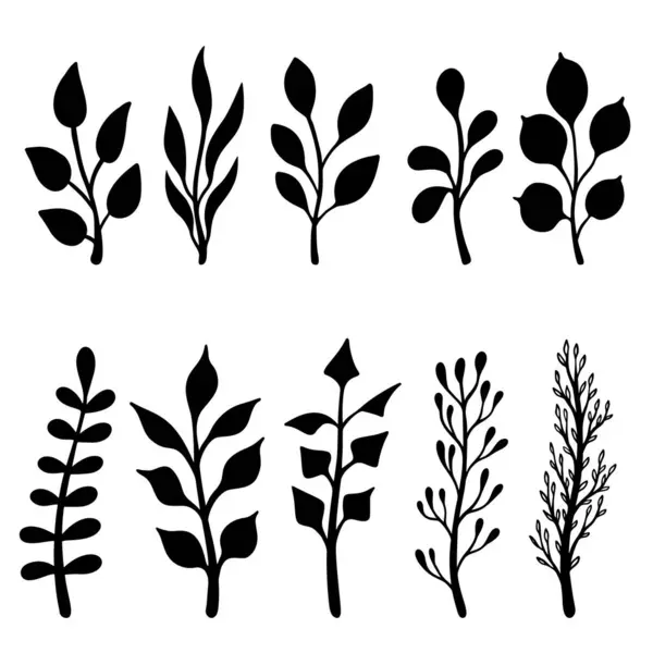 El çizimi çiçek dalları ve serpilmeler. Çiçek metin ayırıcıları. Tebrik kartı, tişört ve poster için tasarım elemanı. Vektör illüstrasyonu