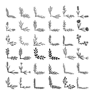 Çiçek desenli el çizimleri. Çiçek metin ayırıcıları. Tebrik kartı, tişört ve poster için tasarım elemanı. Vektör illüstrasyonu