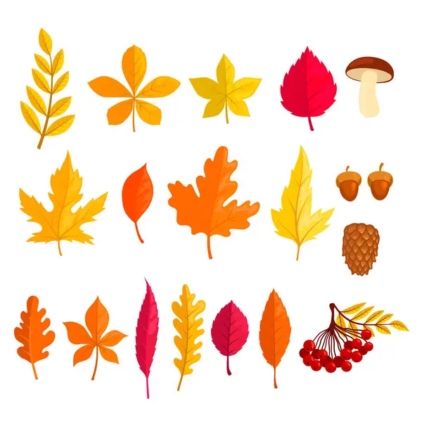 Набор Иллюстраций Осенних Листьев Карикатурном Стиле Элемент Дизайна Плаката Открытки — стоковый вектор
