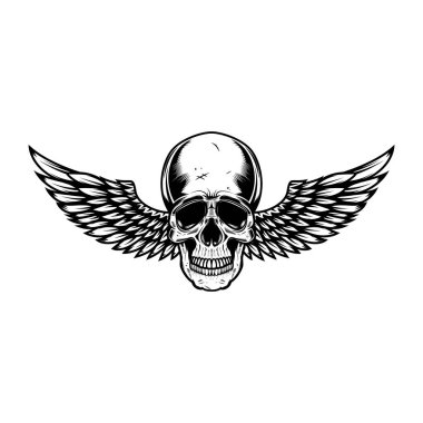 Kanatlı kafatası. Amblem, işaret, rozet ve logo için tasarım elemanı. Vektör illüstrasyonu