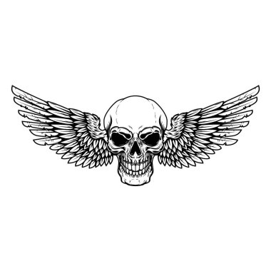 Kanatlı kafatası. Amblem, işaret, rozet ve logo için tasarım elemanı. Vektör illüstrasyonu