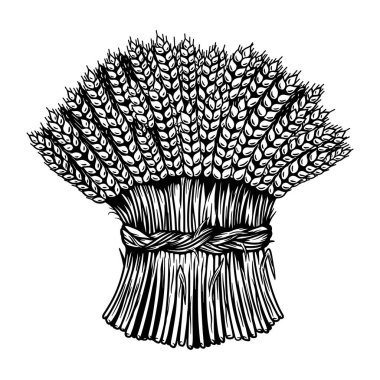İşleme tarzında buğday demeti tasviri. Amblem, işaret, poster, paket tasarımı için tasarım ögesi. Vektör illüstrasyonu