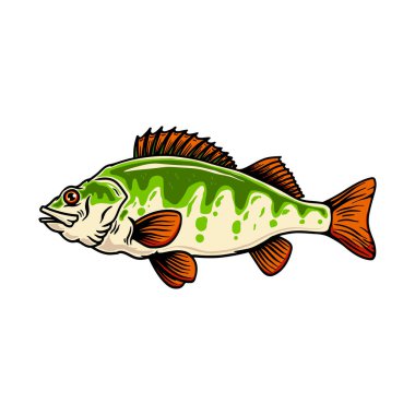 İşleme tarzında levrek balığı tasviri. Poster, kart, pankart, amblem ve imza için tasarım öğesi. Vektör illüstrasyonu