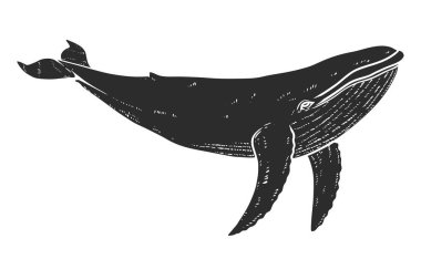Balina tasviri. Poster, kart, pankart, amblem ve imza için tasarım öğesi. Vektör illüstrasyonu