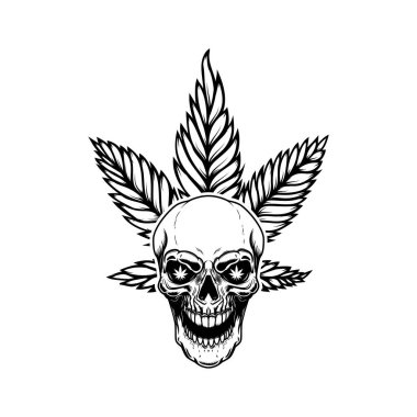 Marihuana yapraklı kafatası. Logo, amblem, işaret, poster tasarımı. Vektör illüstrasyonu