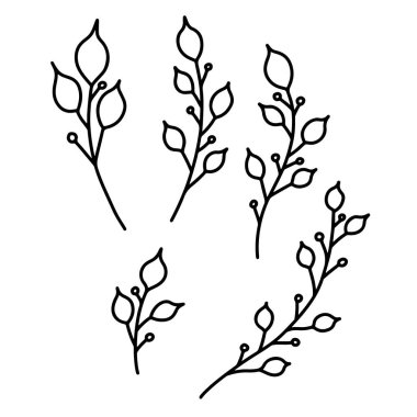 Çiçek tasarım elementleri klasik tarzda. Dekorasyon için tasarım ögesi. Vektör illüstrasyonu