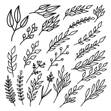 Çiçek tasarım elementleri klasik tarzda. Dekorasyon için tasarım ögesi. Vektör illüstrasyonu