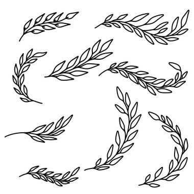 Çiçek tasarım elementleri klasik tarzda. Dekorasyon için tasarım ögesi. Vektör illüstrasyonu