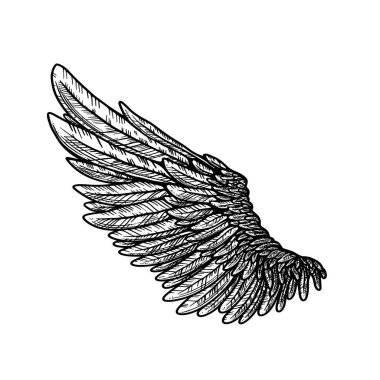 Vektör dövme stili kartal kanadı illüstrasyonu