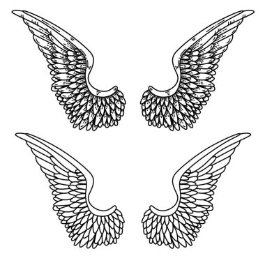 Siyah-beyaz bir çift kanat çizimi, dövme şeklinde yapılmış. Melek kanatları. Kuş kanatlarının gösterimi.