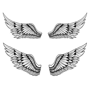 Siyah-beyaz bir çift kanat çizimi, dövme şeklinde yapılmış. Melek kanatları. Kuş kanatlarının gösterimi.