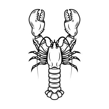 Istakoz. Klasik ıstakoz çizimi. Deniz ürünleri. Logo, etiket, imza, menü, poster için.
