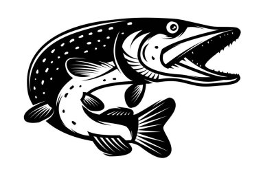 Mızrak balığı tek renk şeklinde resmedilmiş. Turna balığı beyaz arkaplanda izole