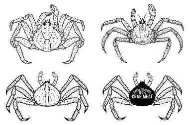 Yengeç tasviri. Monocrom yengeci. Deniz ürünleri. Poster, amblem, menü için.